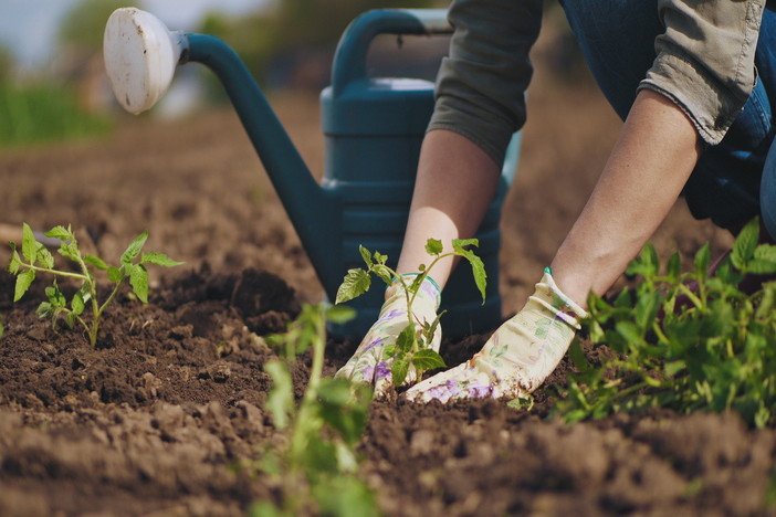 Al via consultazione pubblica sul Piano di azione nazionale per la produzione bio, proposte fino al 2 settembre