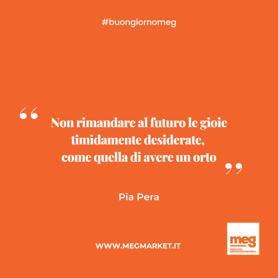 &quot;Non rimandare al futuro le gioie timidamente desiderate, come quella di avere un orto.&quot;