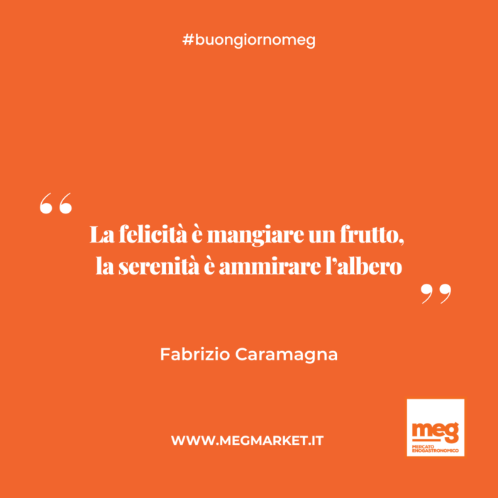 &quot;La felicità è mangiare un frutto,  la serenità è ammirare l’albero.&quot;