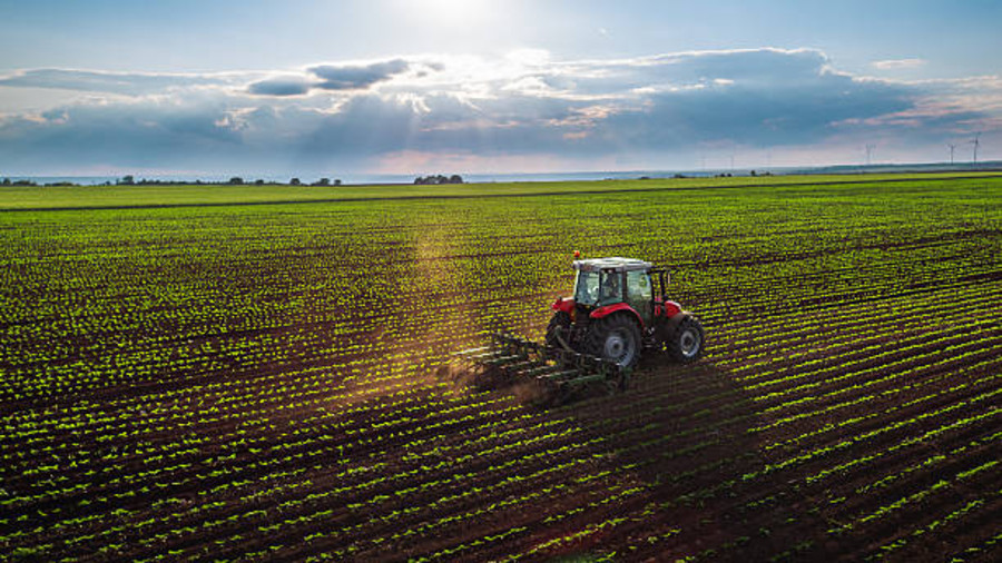 Web Talk sull'Agricoltura Sociale: Opportunità di Finanziamento e Inclusione Sociale