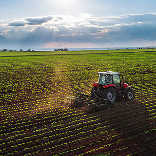 Web Talk sull'Agricoltura Sociale: Opportunità di Finanziamento e Inclusione Sociale