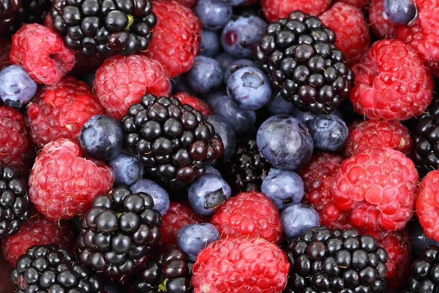 I frutti di bosco: un concentrato di salute