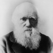 Oltre il genio: la passione per la carne di Charles Darwin