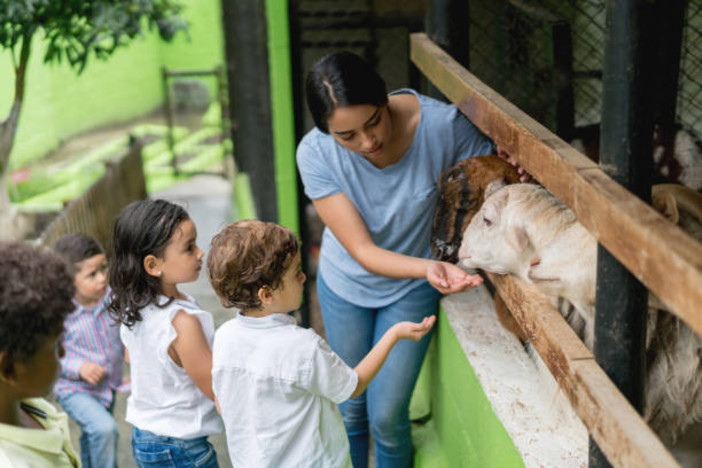 Piemonte, Aperto il bando CSR per il sostegno ad agriturismi e fattorie didattiche - scadenza 2 settembre 2024