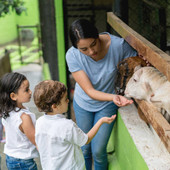 Piemonte, Aperto il bando CSR per il sostegno ad agriturismi e fattorie didattiche - scadenza 2 settembre 2024