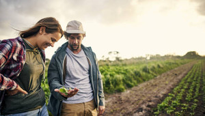 Riapre il 30 ottobre la seconda edizione di &quot;Generazione Terra&quot;