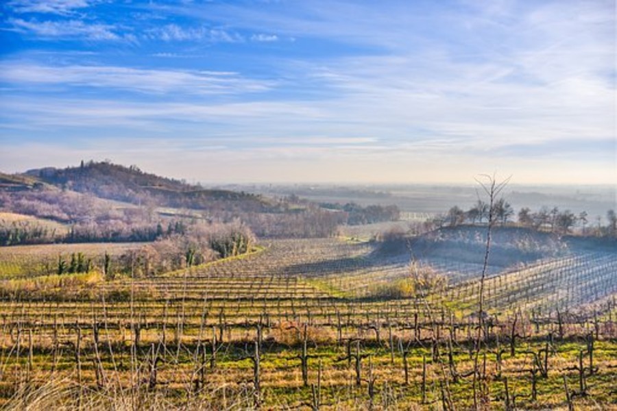 THE FRIULI REGION COLLE FRIULANO AND ITS WINE