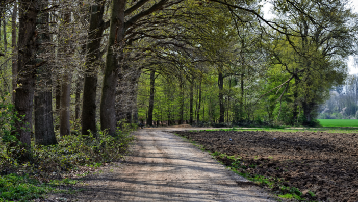 Parco della Pineta di Appiano Gentile e Tradate: una fuga dalla quotidianità in provincia di Varese