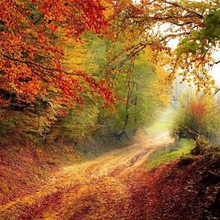 Bentornato autunno, ma il 21 o il 23 settembre?