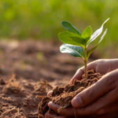 Il 95% del nostro cibo proviene dal suolo: oggi celebriamo il World Soil Day