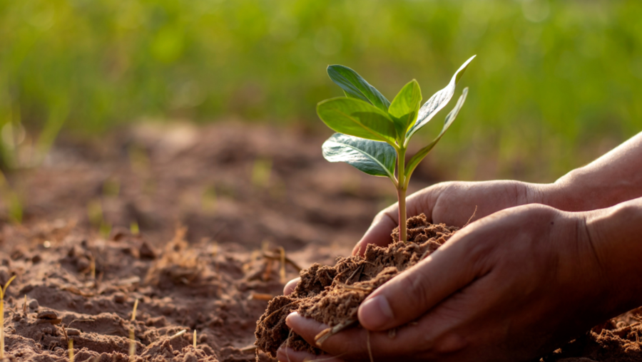Il 95% del nostro cibo proviene dal suolo: oggi celebriamo il World Soil Day