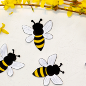 20 maggio: è il World Bee Day, la Giornata Mondiale delle Api
